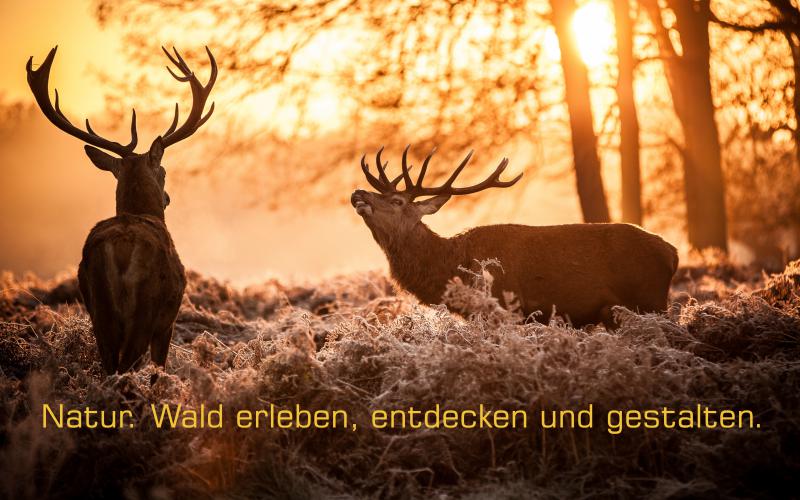 KATEGORIE_ALT_TEXT2